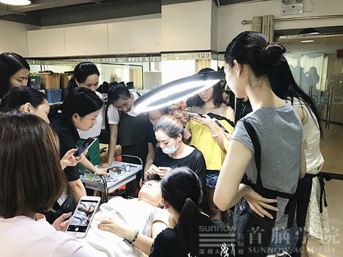 合肥技術(shù)咨詢與推廣服務(wù)費發(fā)票開具指南